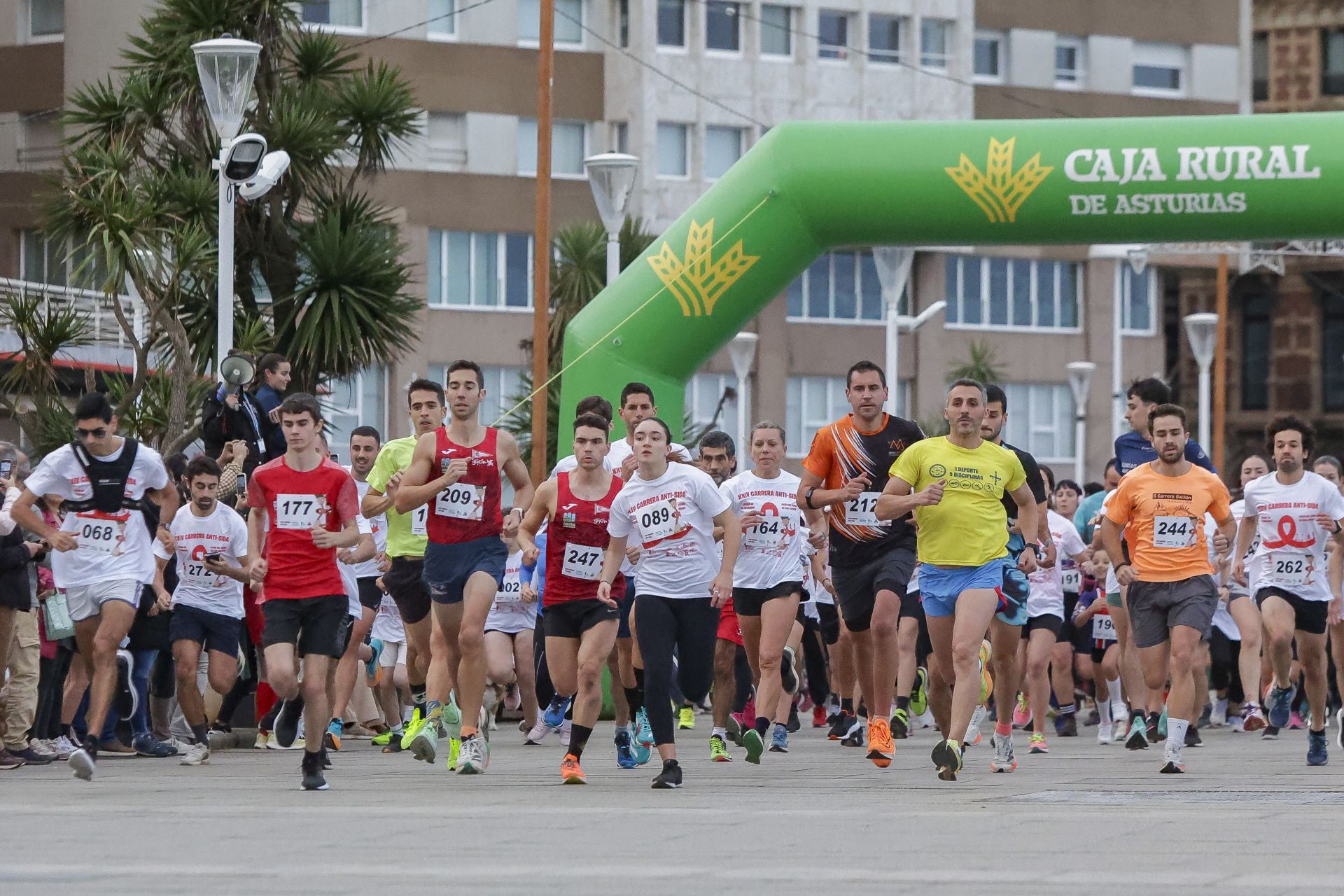 Zancadas de solidaridad: las imágenes de la carrera anti-sida en Gijón