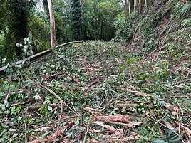 Imagen del estado de la carretera el pasado agosto en vísperas del Xiringüelu .