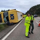 Los caballos que viajaban en el camión accidentado en Asturias son de un jinete que iba a competir en Galicia