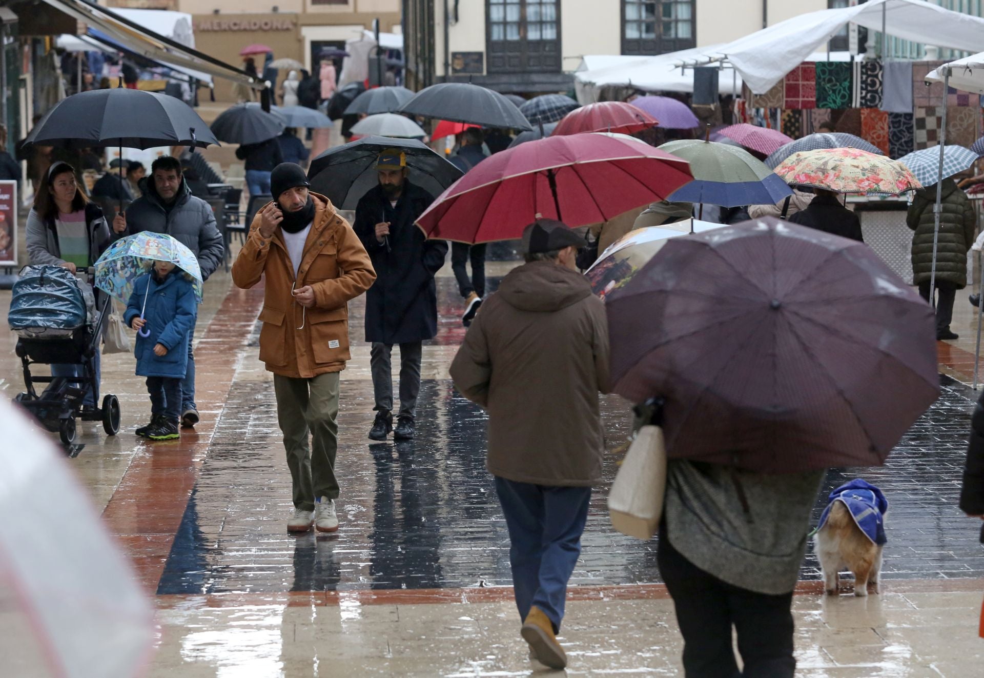 El primer temporal invernal en Asturias: nieve, fuerte viento y lluvia