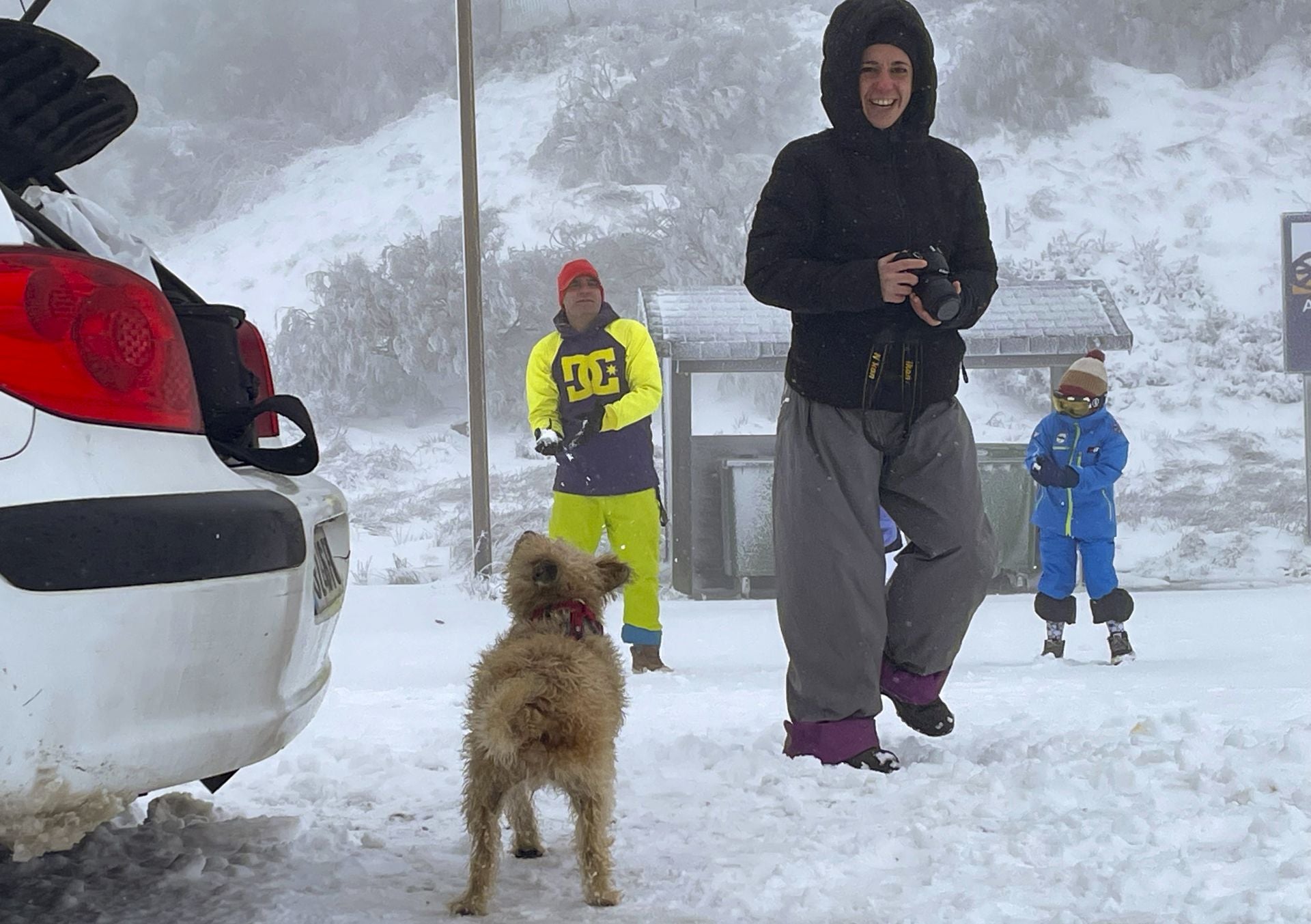 El primer temporal invernal en Asturias: nieve, fuerte viento y lluvia