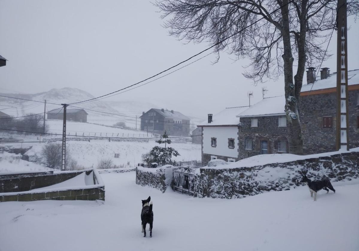 El primer temporal invernal en Asturias: nieve, fuerte viento y lluvia