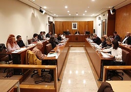 Vista general del pleno municipal de Avilés en la sesión celebrada el pasado noviembre.