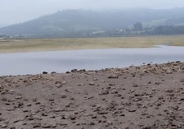 Zona de El Puntal en la que se prevé instalar la planta de preengorde.