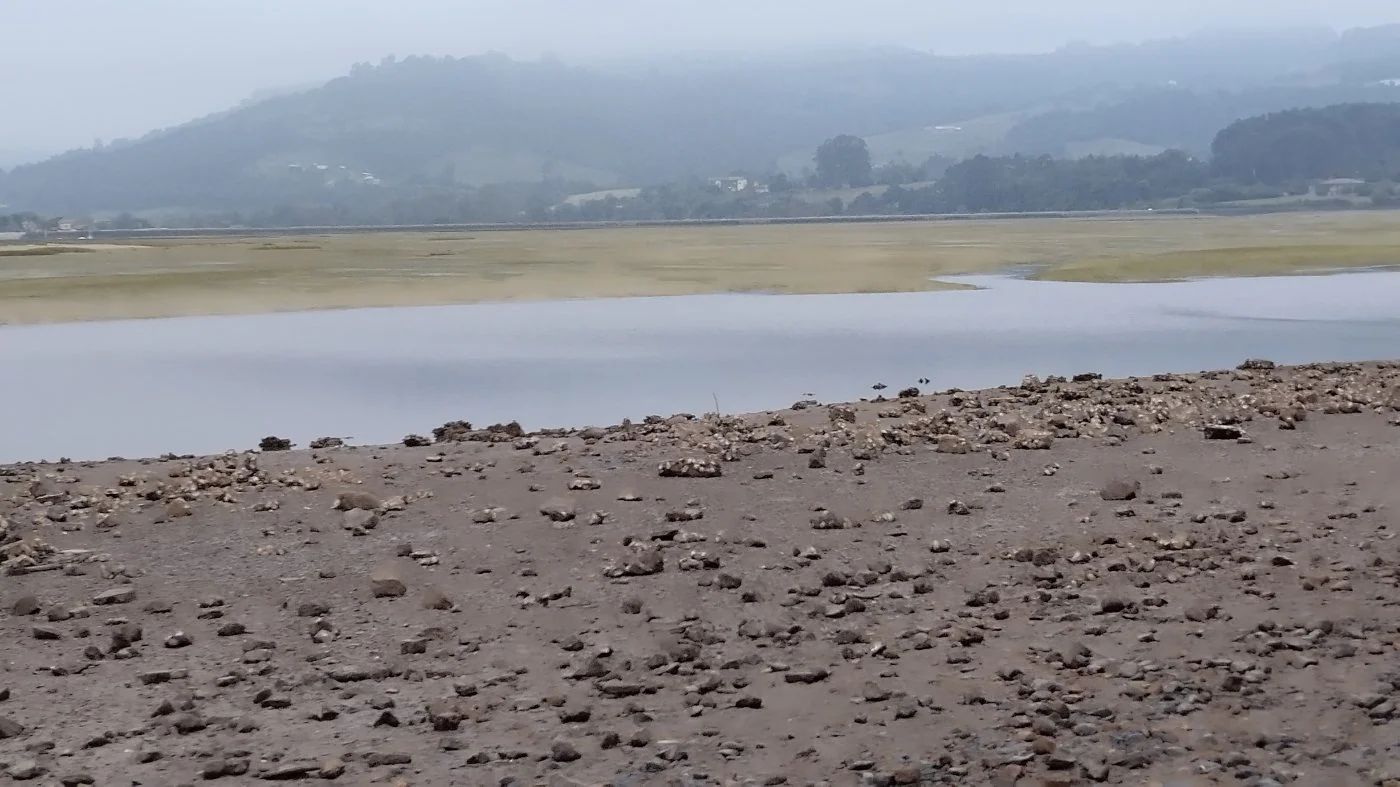 Zona de El Puntal en la que se prevé instalar la planta de preengorde.