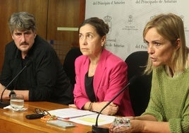 Xabel Vegas (IU-Convocatoria), Dolores Carcedo (PSOE) y Covadonga Tomé, en una comparecencia en la Junta