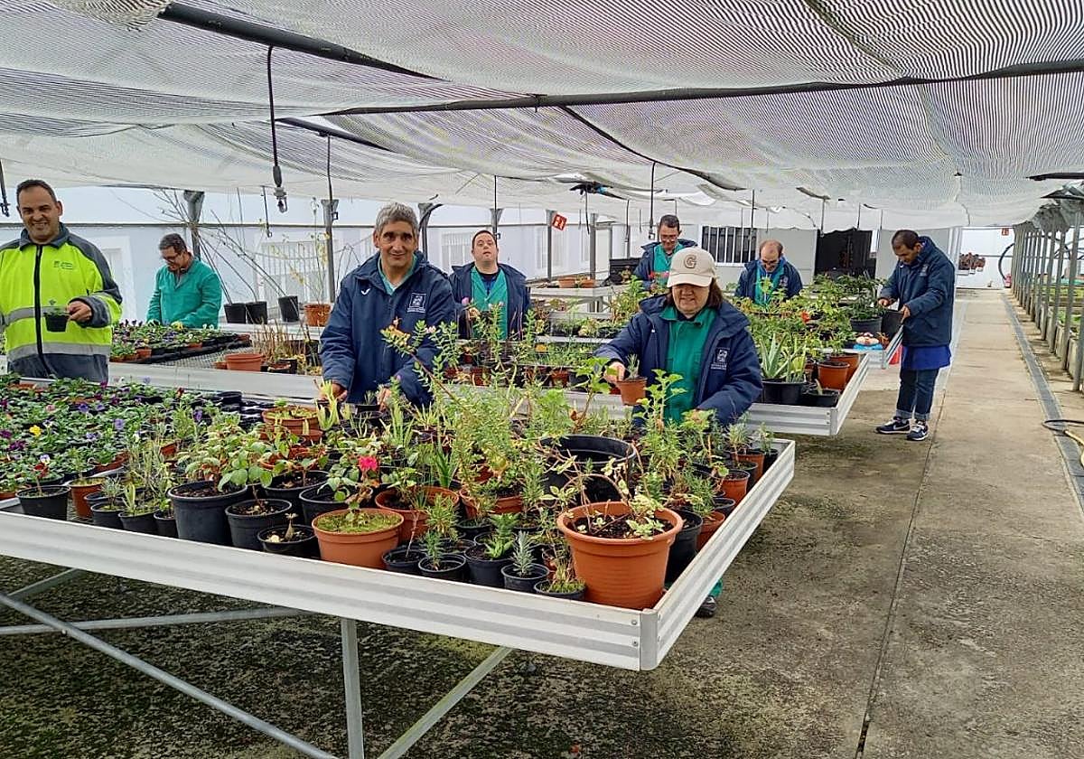Usuarios del Centro de Apoyo a la Integración (CAI) Pando, en el taller de jardinería y viveros.
