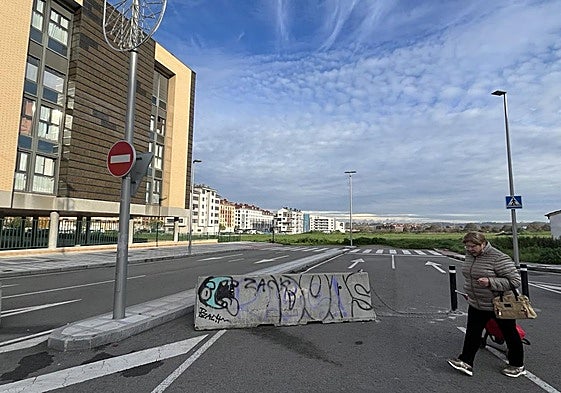 Punto donde concluye ahora la avenida de la Constitución, a la altura de la calle Leopoldo de Lugones.