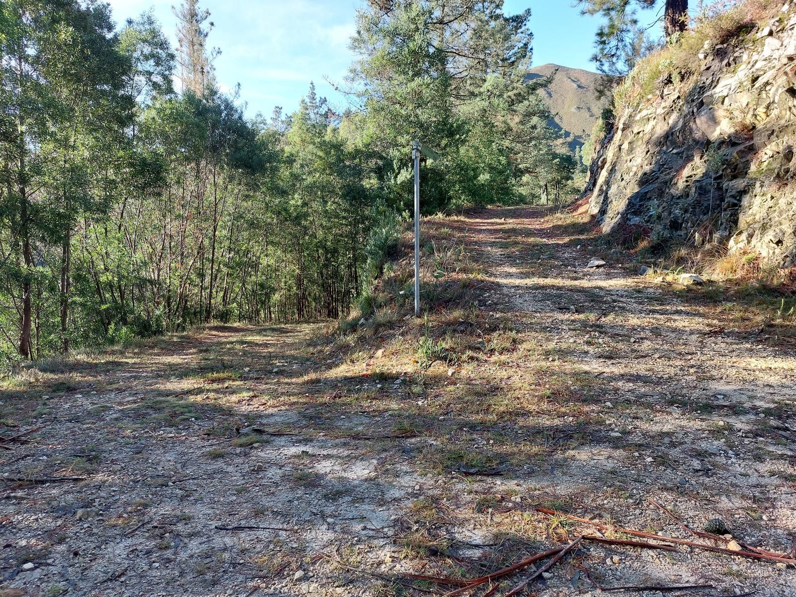 pista forestal para regresar a Bode