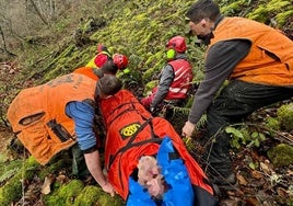 El herido sufrió un traumatismo craneal frontal y varias fracturas costales.