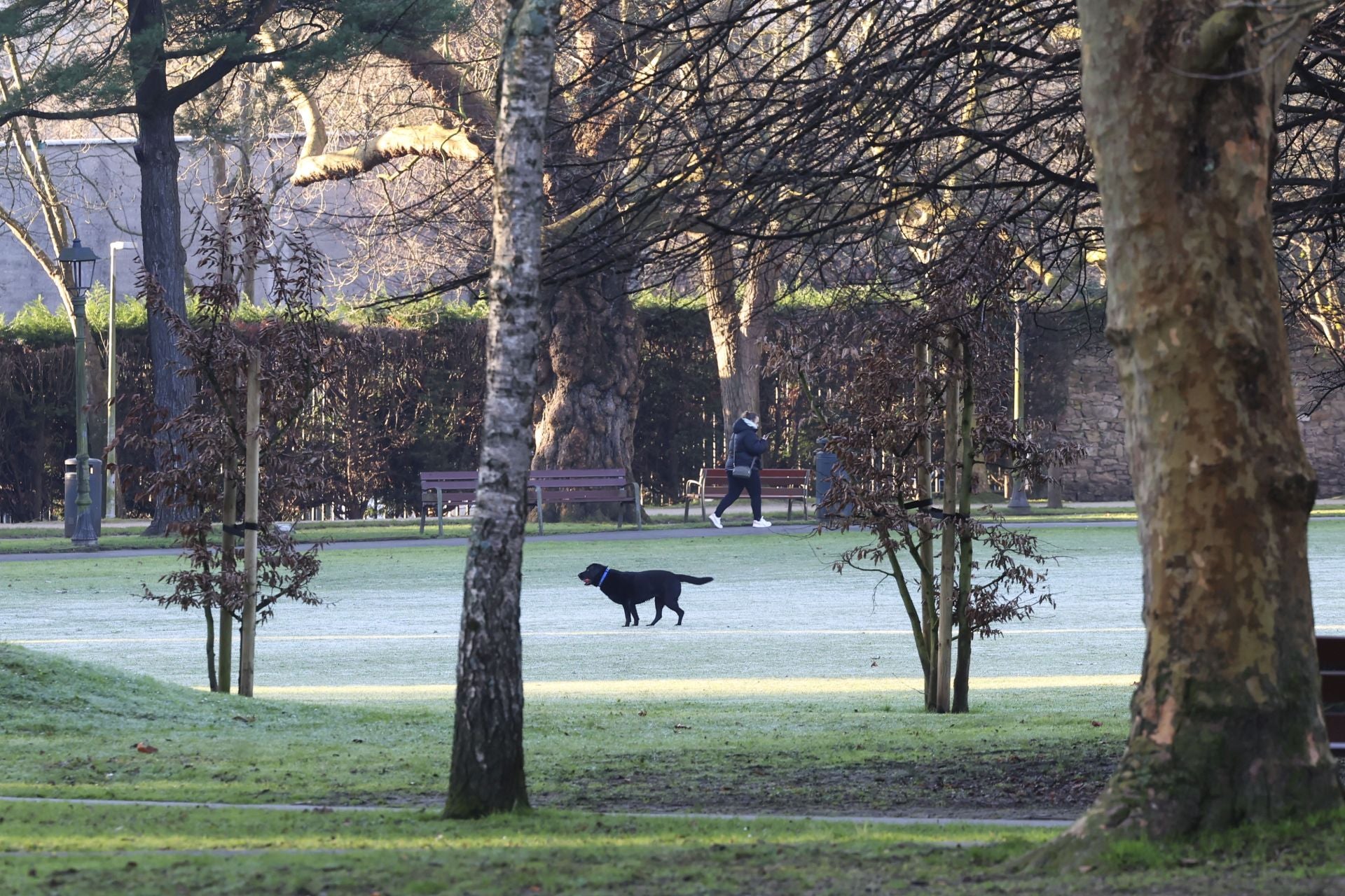 Asturias, bajo cero: el frío invernal llega a la región