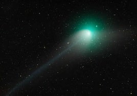 Representación del cometa. La coma, o cola, marca la dirección opuesta al Sol, no la trayectoria real del cometa.