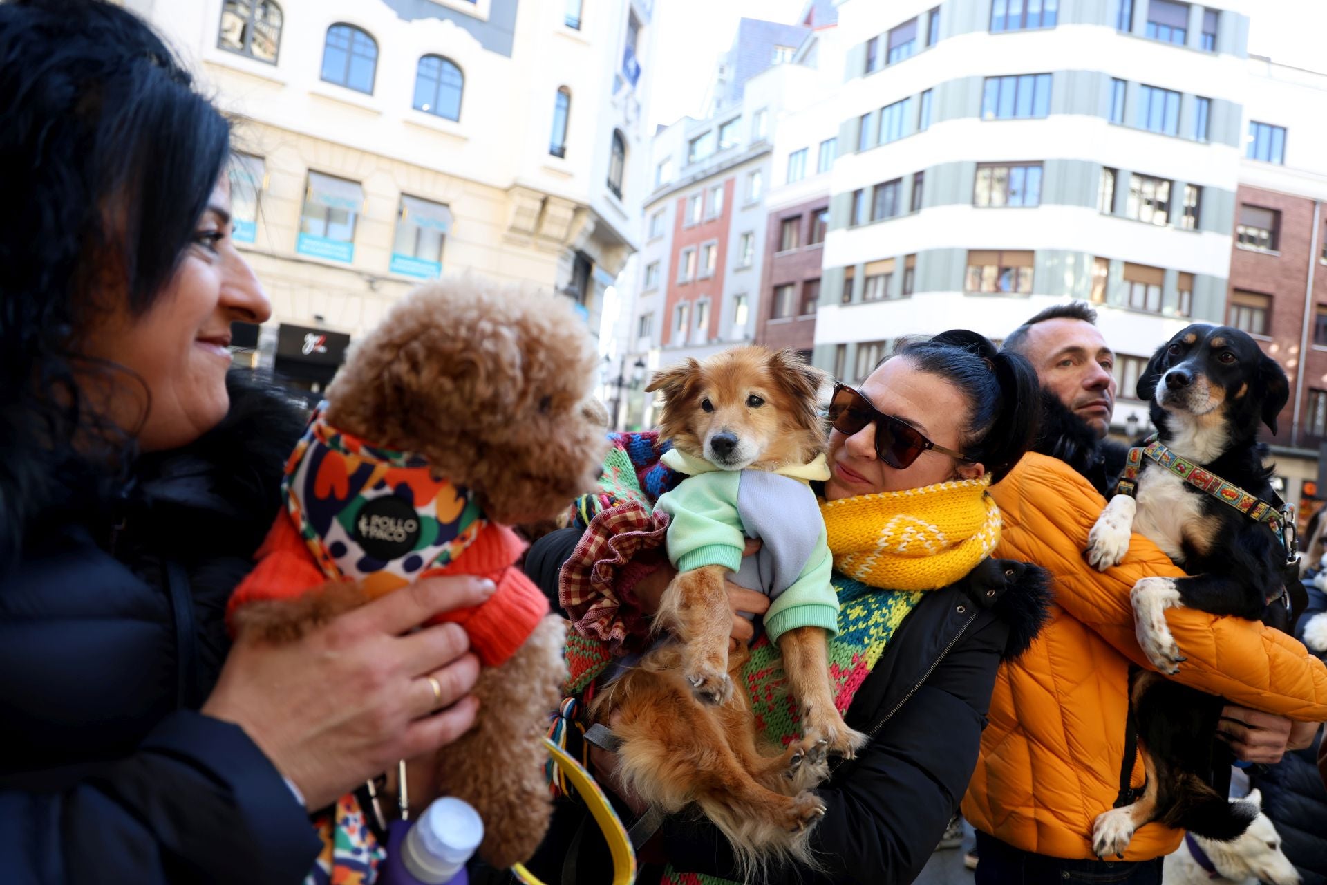 Oviedo bendice a sus mascotas por San Antón