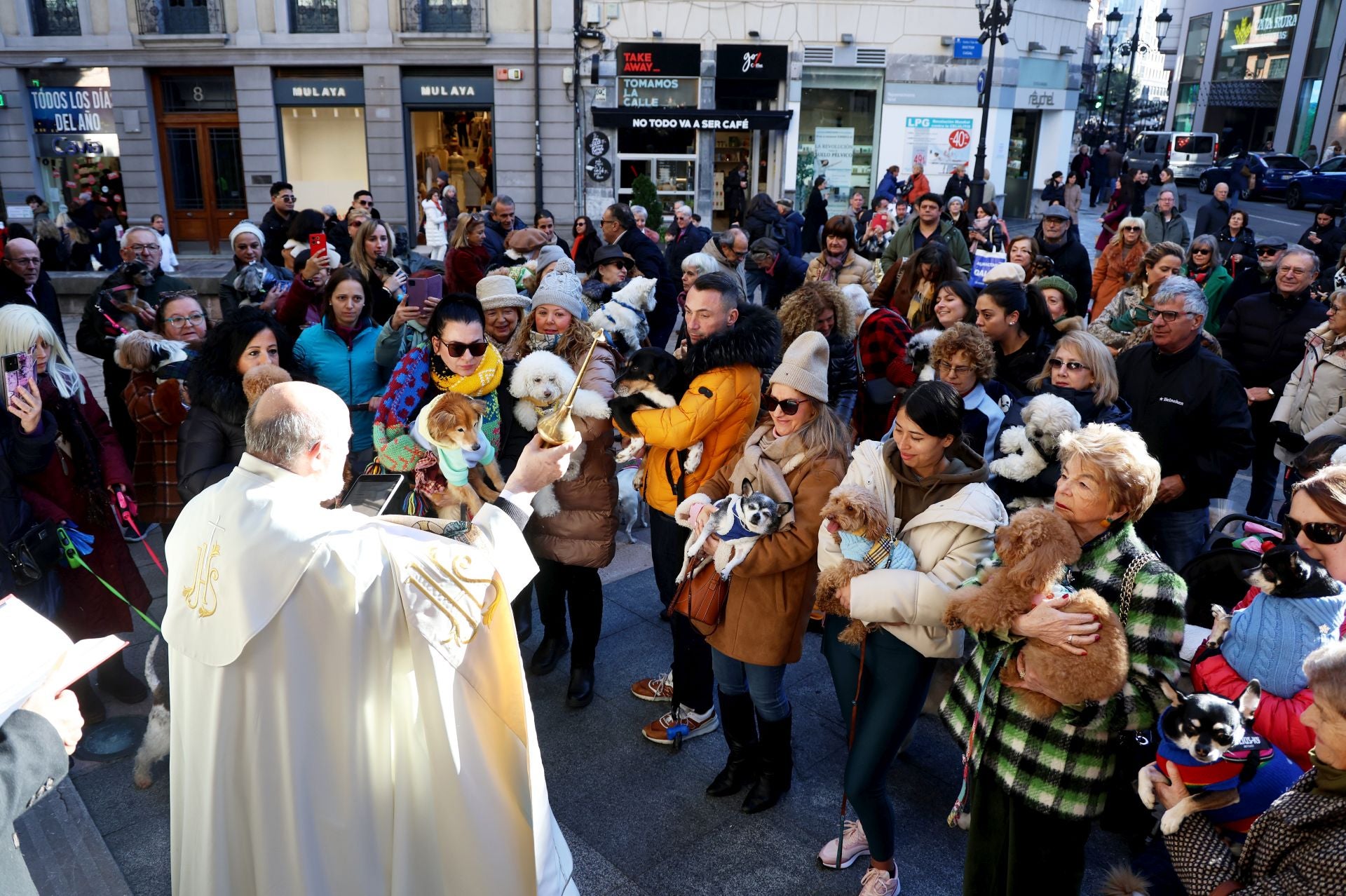 Oviedo bendice a sus mascotas por San Antón