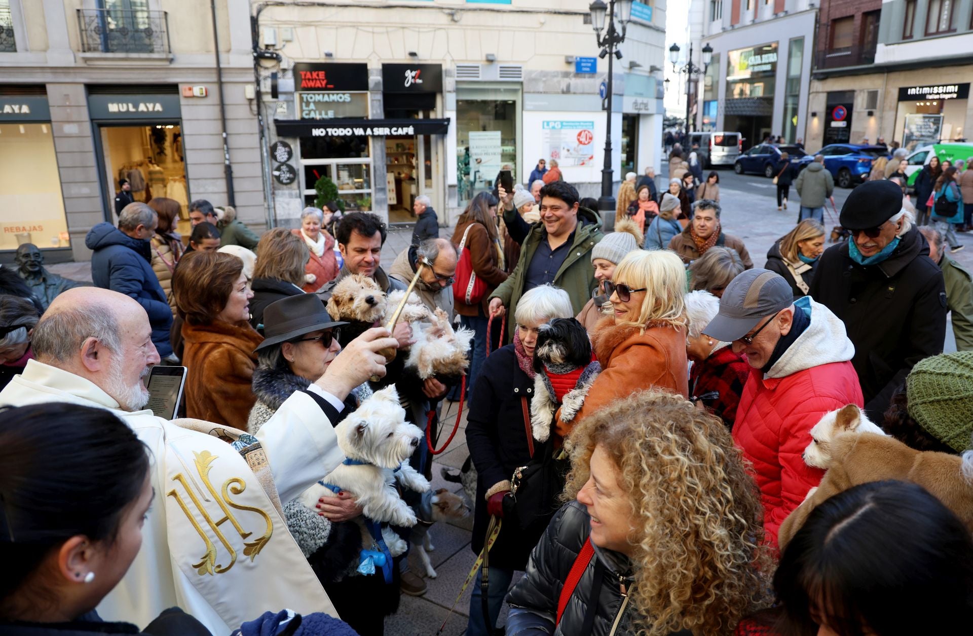 Oviedo bendice a sus mascotas por San Antón