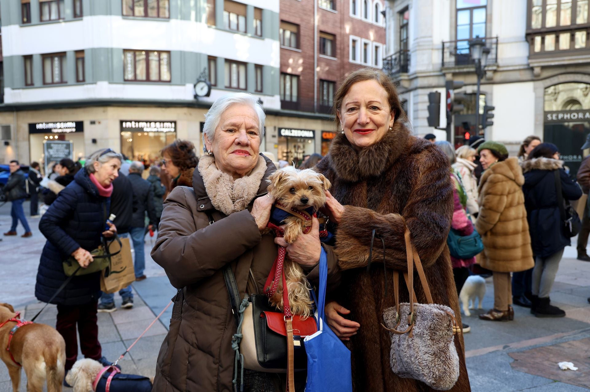 Oviedo bendice a sus mascotas por San Antón
