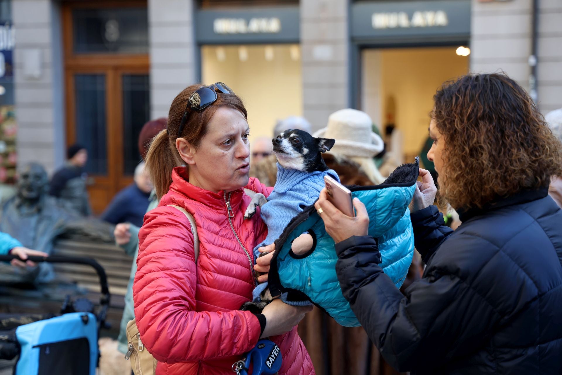 Oviedo bendice a sus mascotas por San Antón