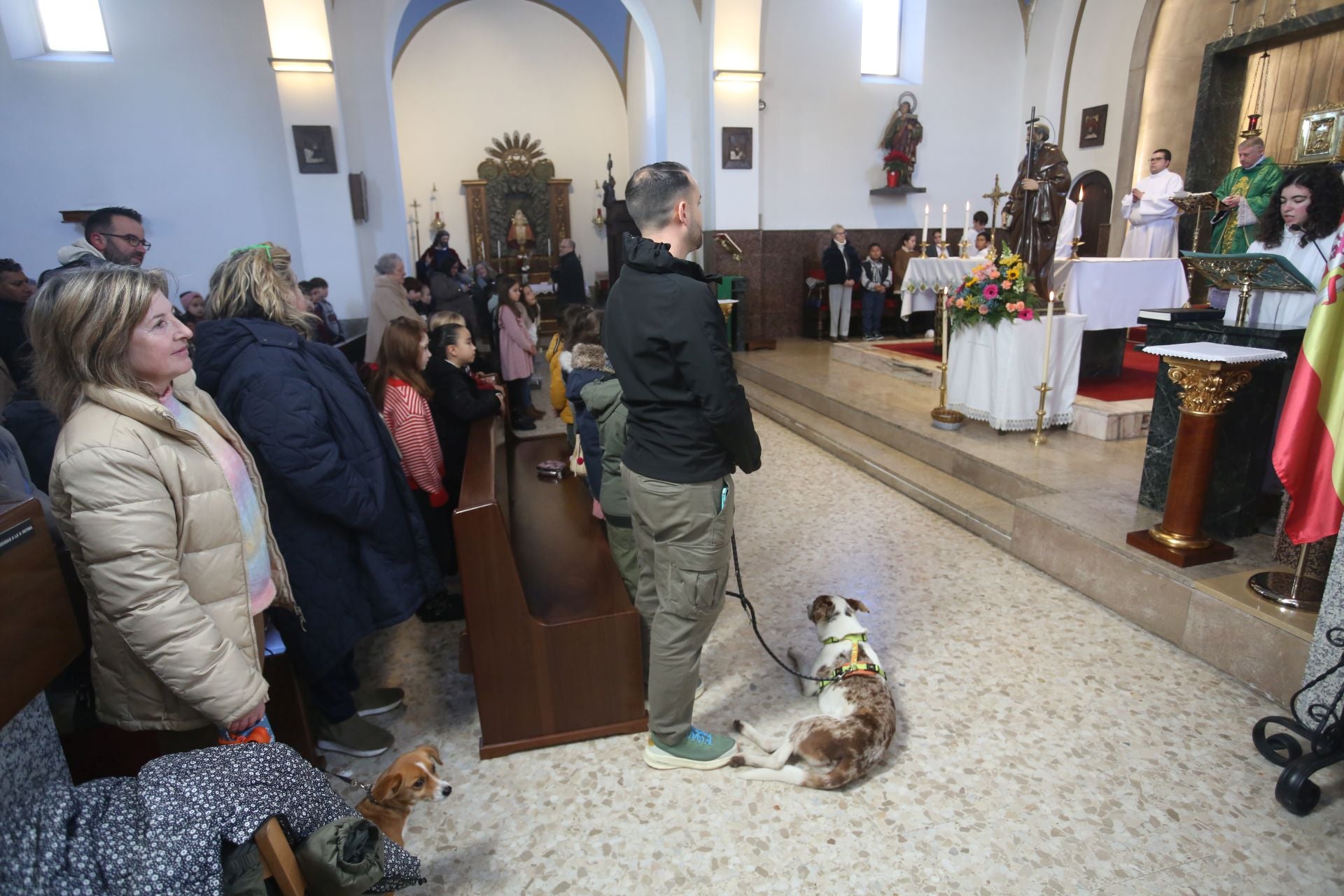 San Antón en Lugones: perros, gatos, conejos, hámsteres y periquitos reciben su bendición