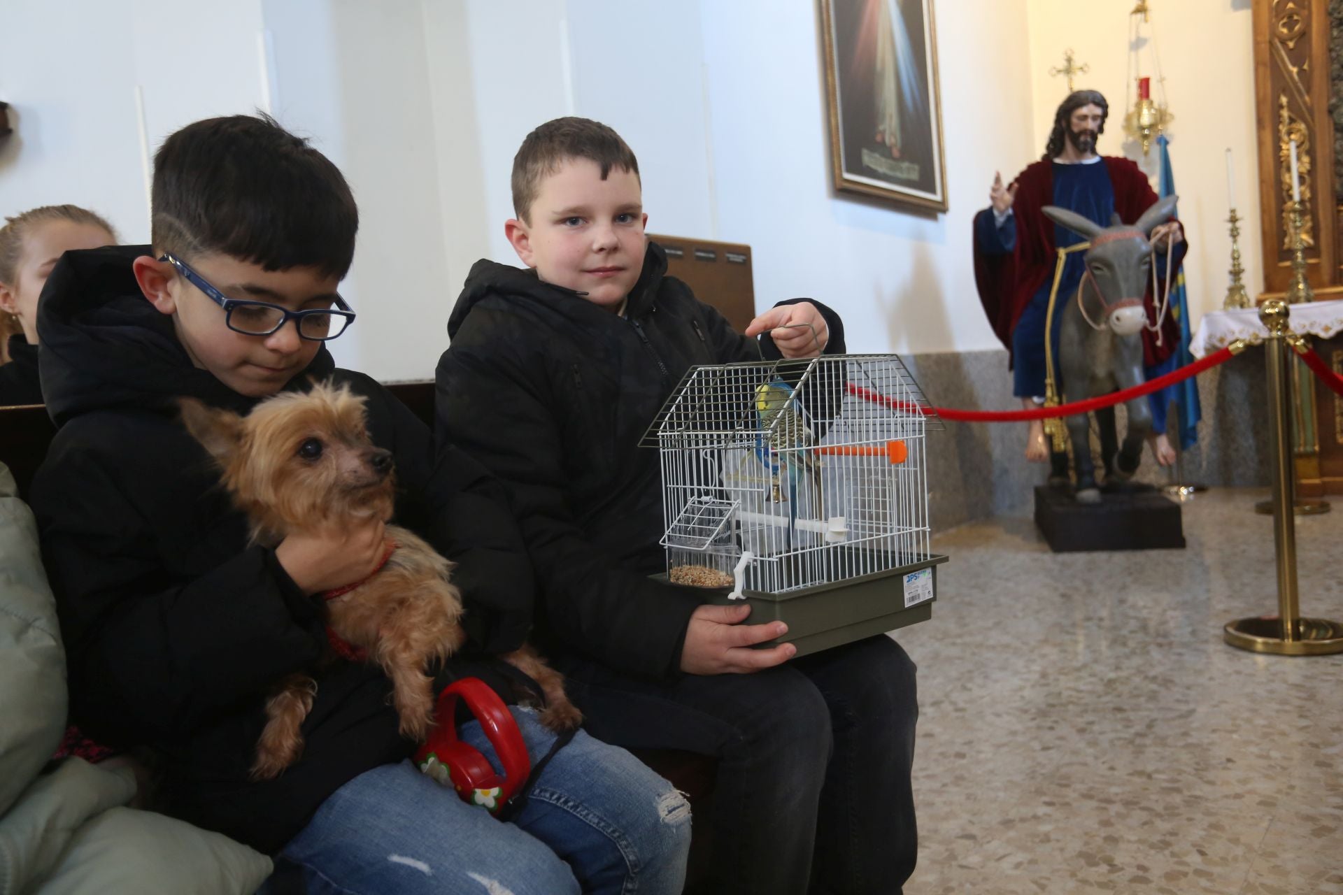 San Antón en Lugones: perros, gatos, conejos, hámsteres y periquitos reciben su bendición