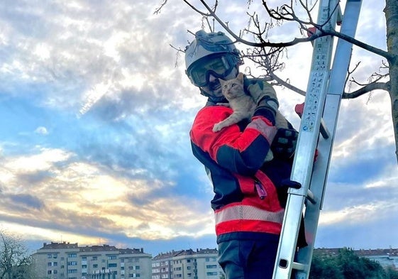 Un miembro de bomberos con el gato rescatado en Los Pericones