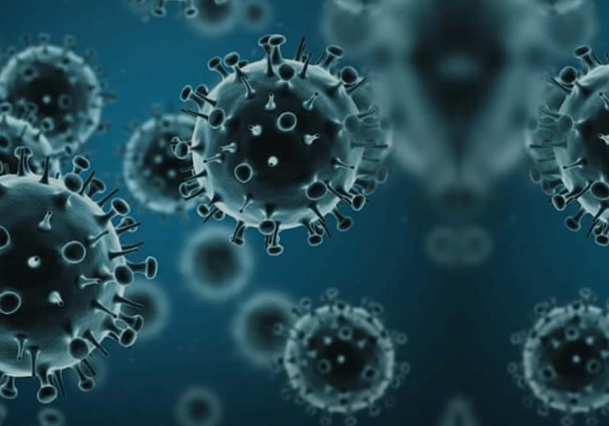 Las seis vitaminas que te ayudan a reducir el riesgo de padecer cáncer