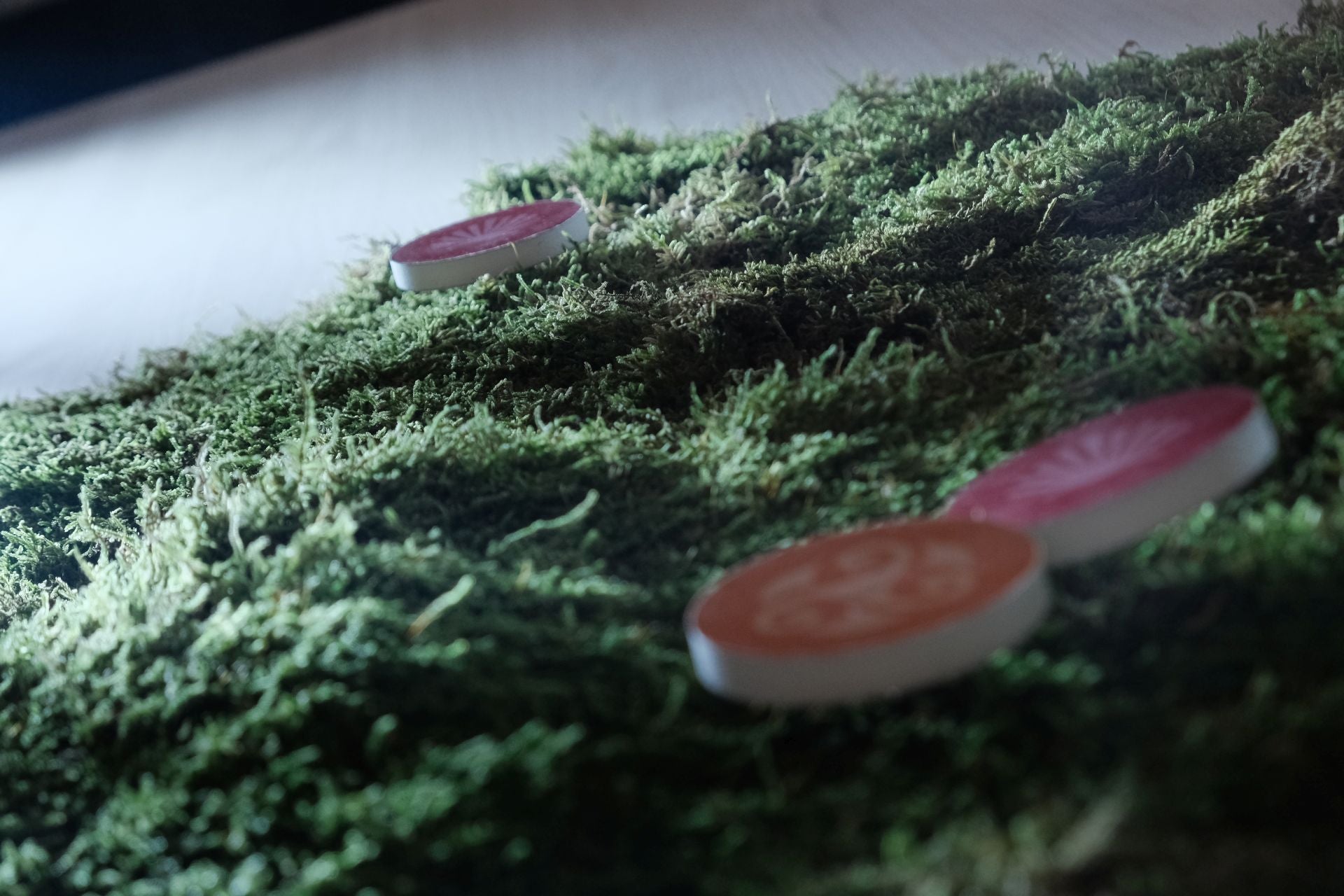 Asturias abre su estand en Fitur 2025