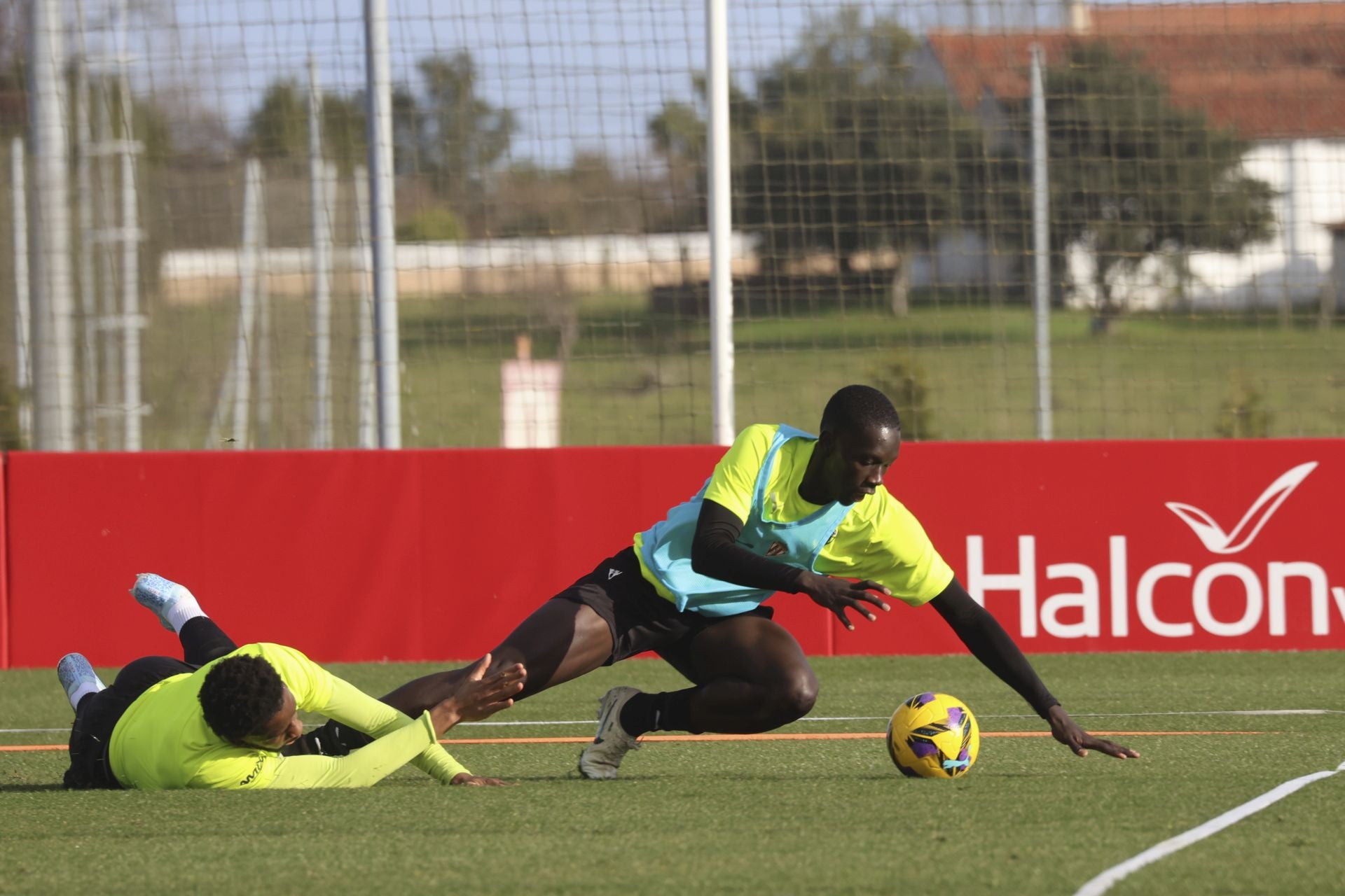 Entrenamiento del Sporting de Gijón (23/01/2025)