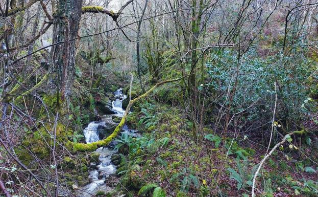 Ambiente durante el primer tramo de ruta, a la vera del río Felguerina