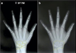 El profesor de Biología Stefano de Luca.