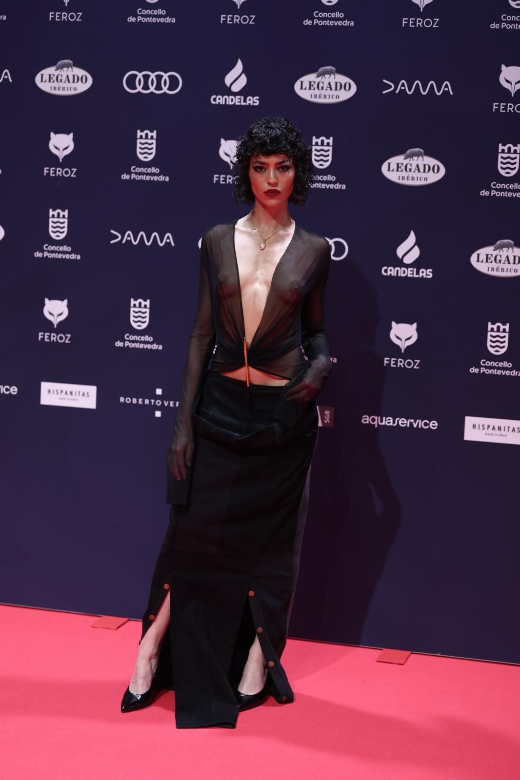 Todos los &#039;looks&#039; de los premios Feroz 2025