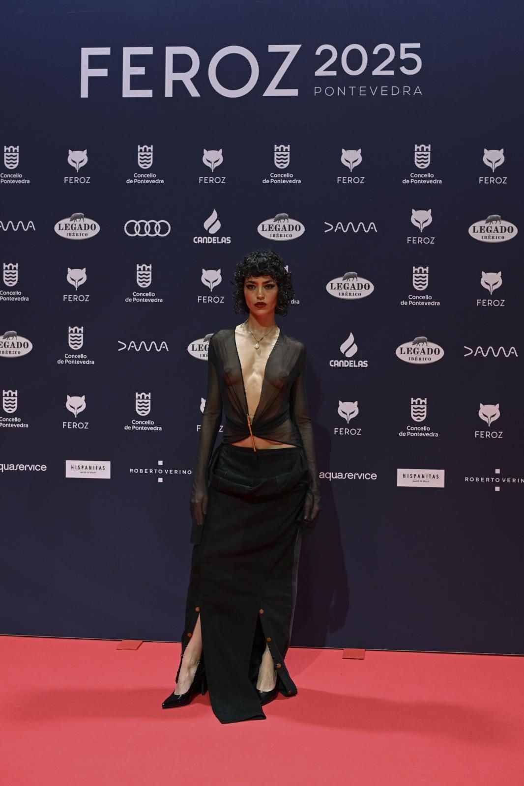 Todos los &#039;looks&#039; de los premios Feroz 2025