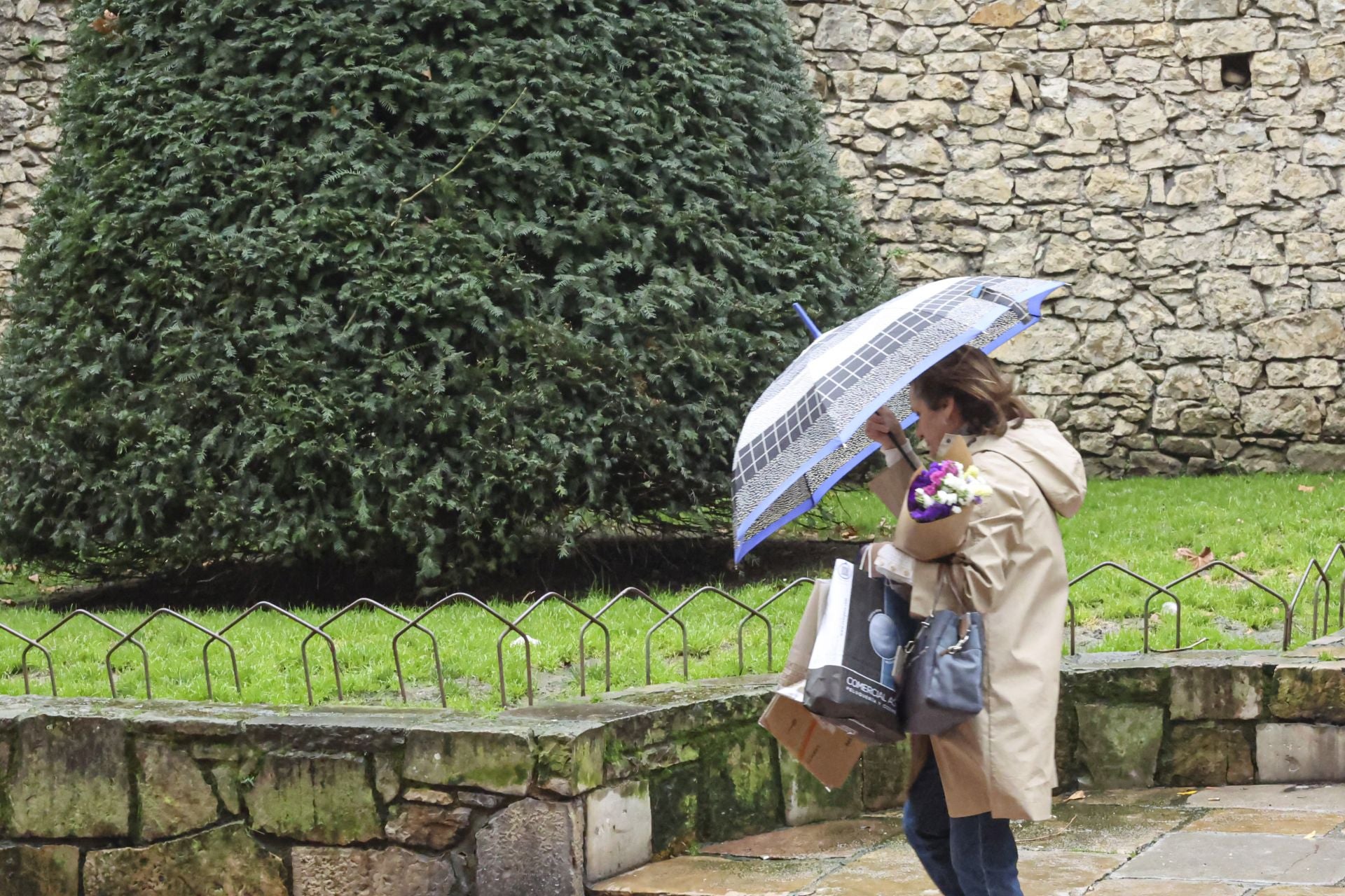 La borrasca &#039;Herminia&#039; golpea Asturias: los efectos del fuerte viento