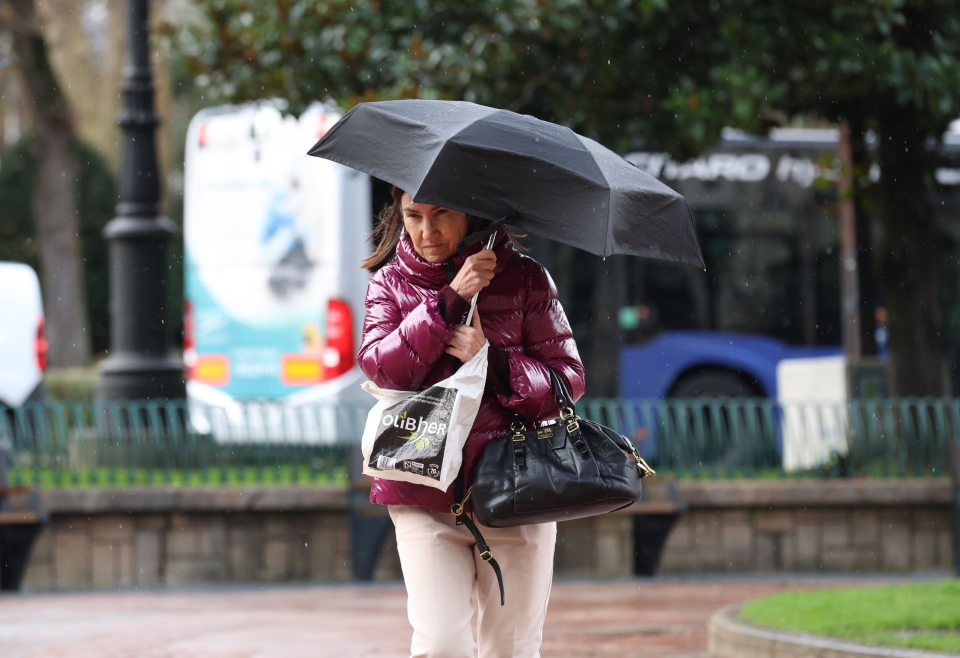 Nieve y mucho viento en Asturias por los últimos coletazos de &#039;Herminia&#039;