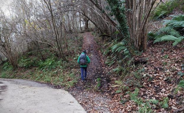 Estrecho sendero por el que se abandona la pista principal seguida desde Tozu y se comienza a subir