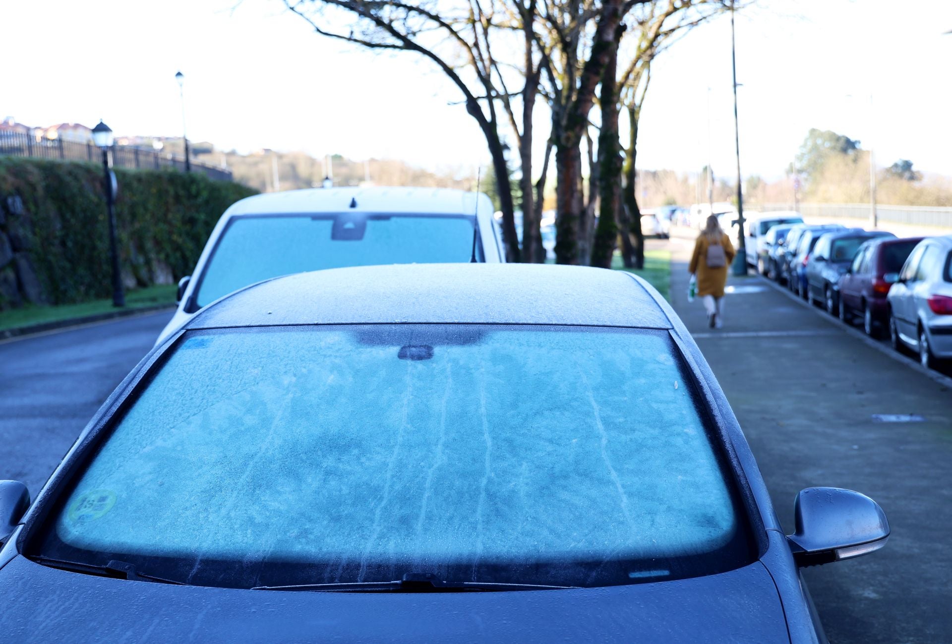 Asturias exhibe una estampa de contrastes: frío, nieve, heladas y sol