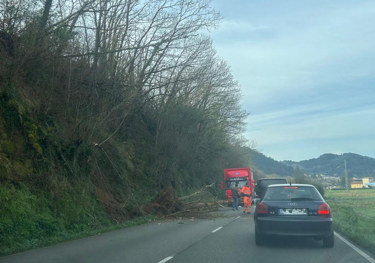 Coches parados frente al desprendimiento en la carretera que une Riberas y Peñaullán.