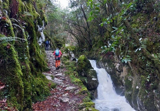 En el bosque de Beyu Pen hay paz y silencio y se recorre sin problemas, por una vieja calzada de piedra y junto al rumor constante del agua clara