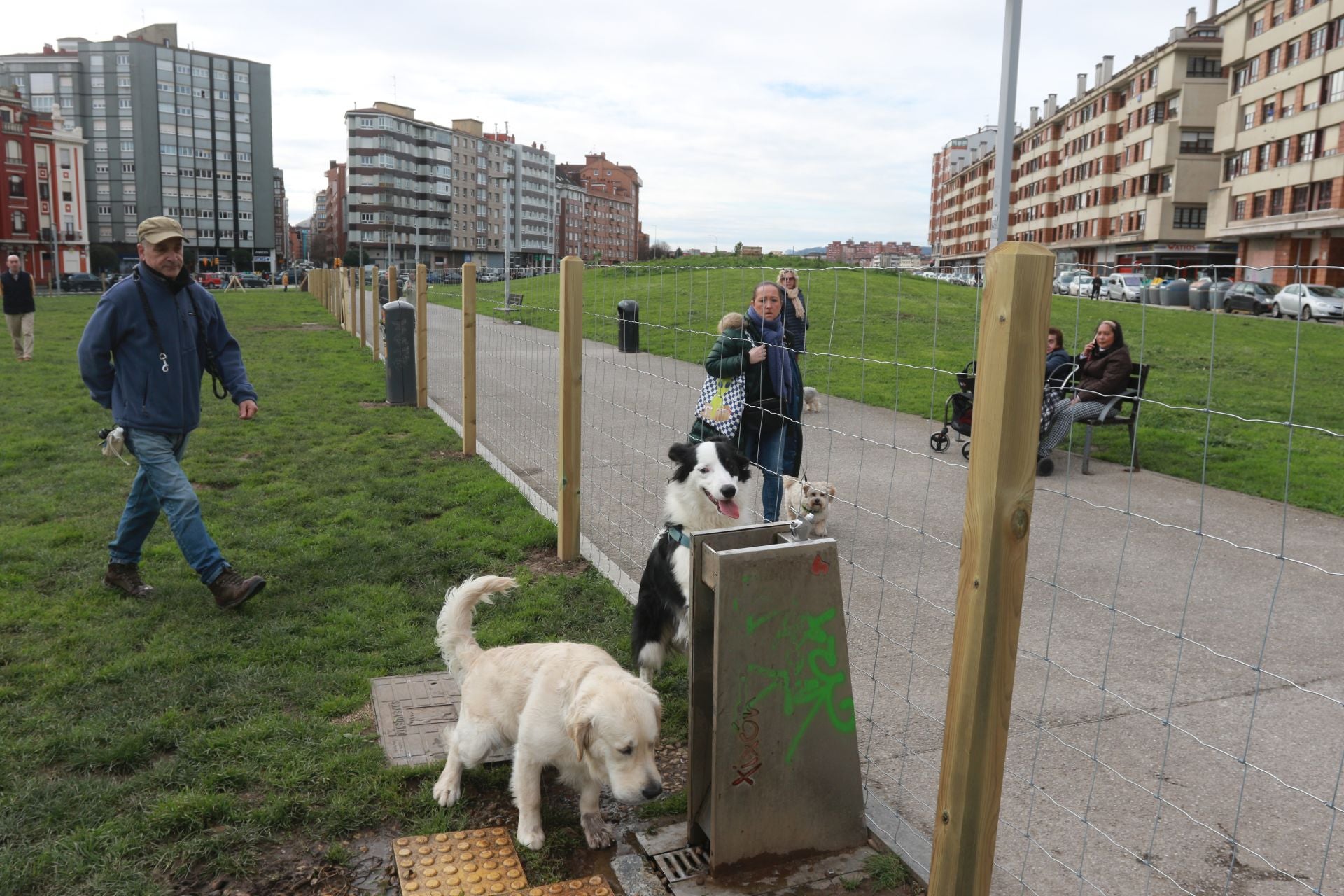 Los perros ya disfrutan dentro del vallado en parque en el Solarón