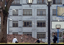 Las gaviotas se han asentado en zonas urbanas de Oviedo.