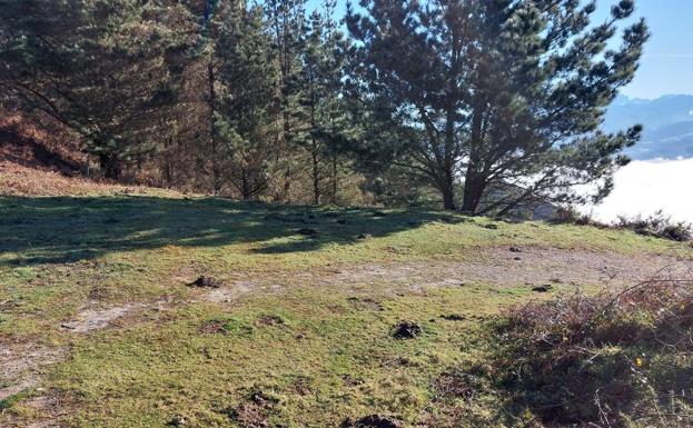 Tras descender del Arbolín por la cresta hay que girar a mano derecha para tomar una pista forestal