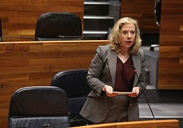 La consejera de Transición Ecológica, Industria y Comercio, Belarmina Díaz.
