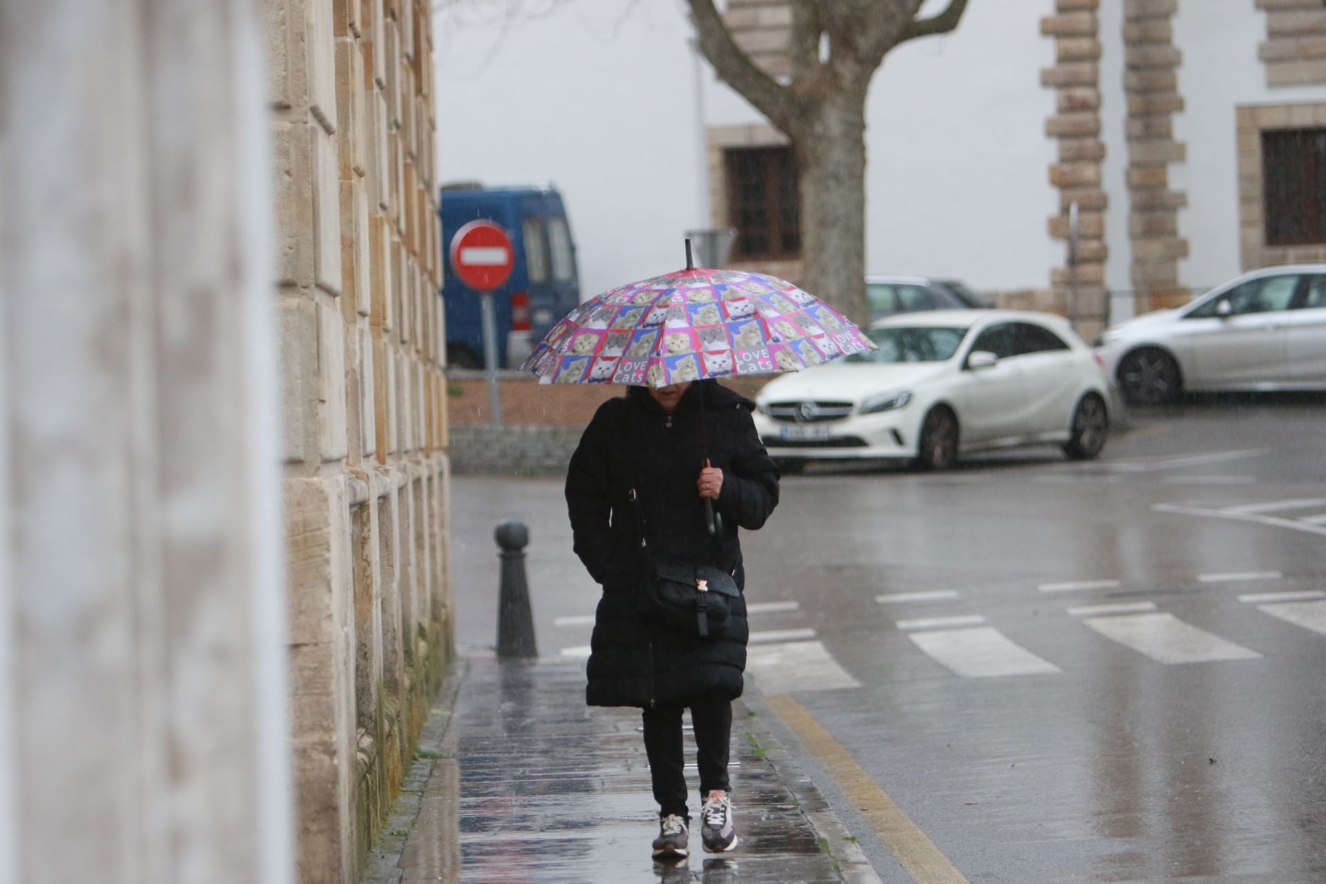 Lluvia y mucho viento en Asturias