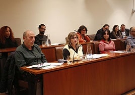 Concejales de IU, Podemos y PSOE durante el Pleno de Avilés celebrado este jueves.