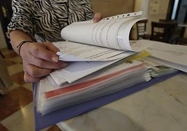 «Demostrar la violencia vicaria o la económica es casi imposible»