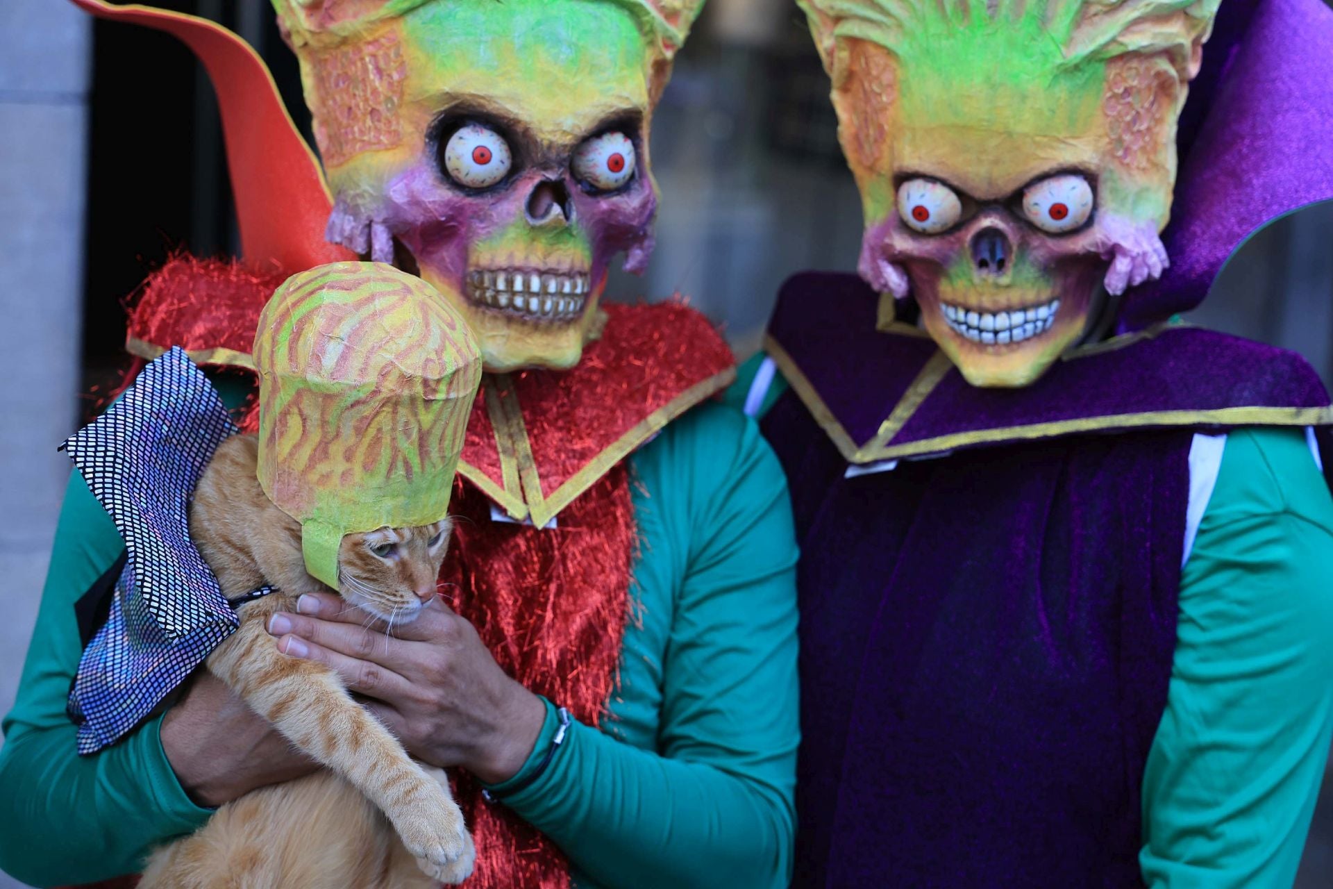 Las mascotas se van de Antroxu en Avilés