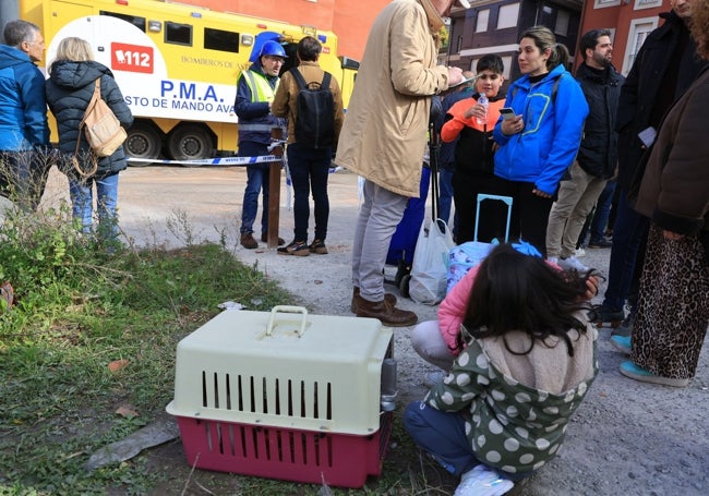 Candela, con su conejo 'Coco', asustado dentro de la caja.