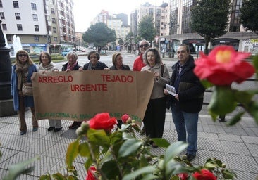 «Quizá cuando empiecen a arreglarlo, sea tarde»