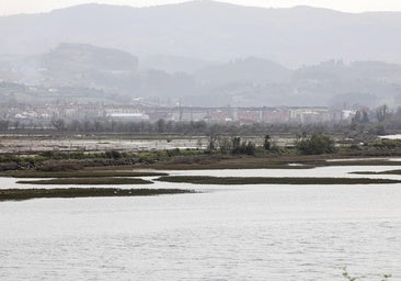 «Inversiones y tiempo» para recuperar la ría de Villaviciosa