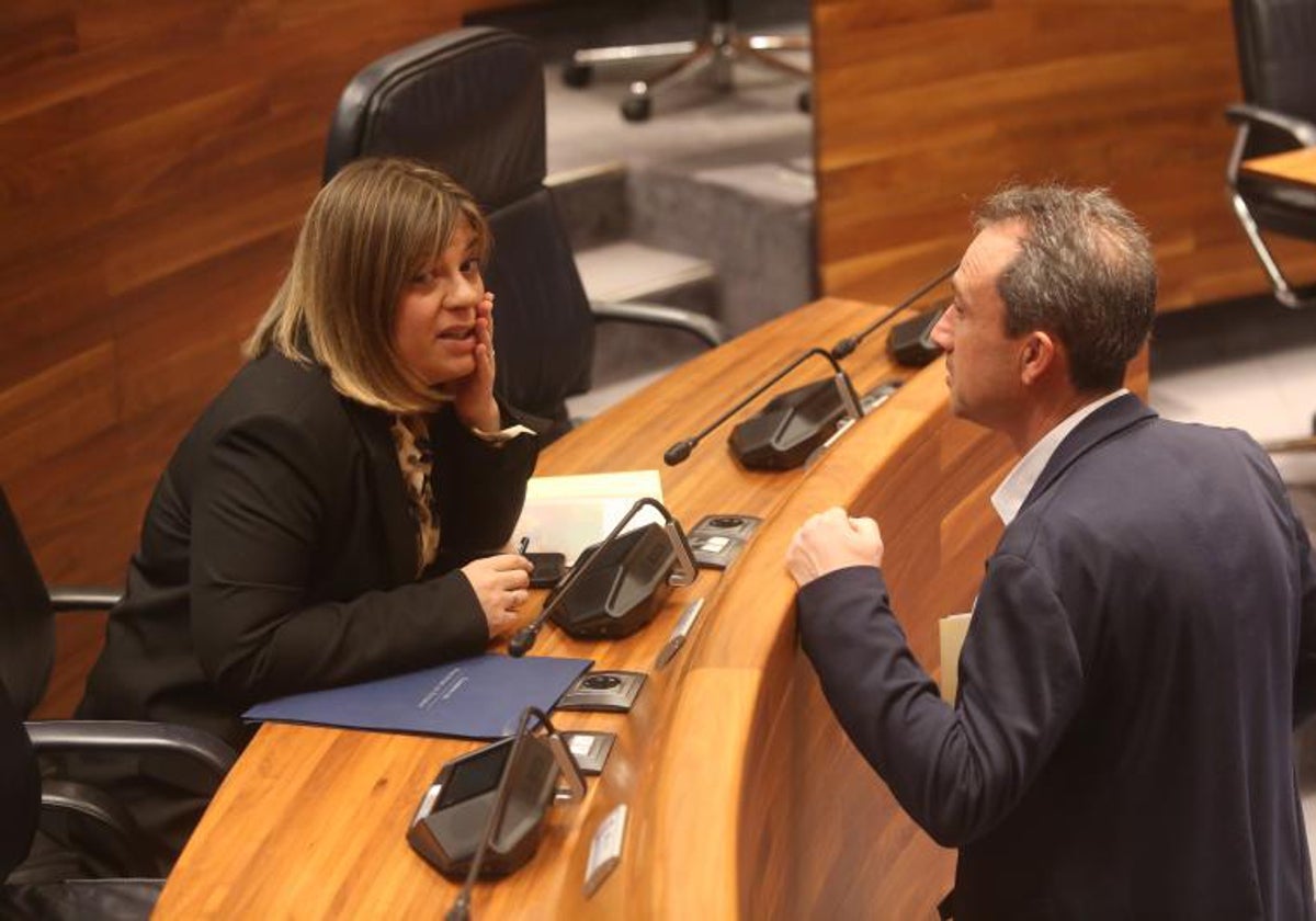 Gimena Llamedo y Ovidio Zapico, en la Junta General.