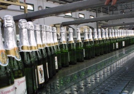 Botellas de sidra en la fábrica de El Gaitero de Villaviciosa.